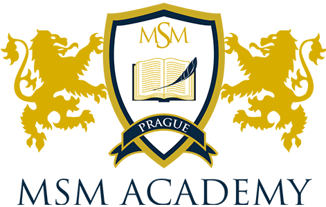 MSM Academy